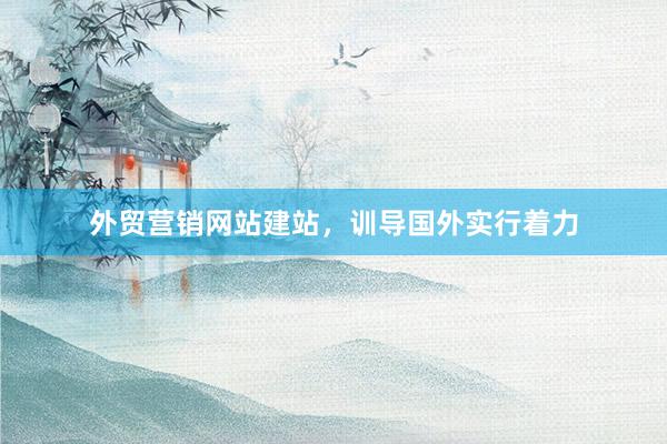 外贸营销网站建站，训导国外实行着力